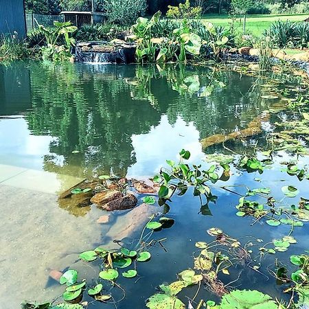 Deo Resta Guest Lodge ピート・レティーフ エクステリア 写真